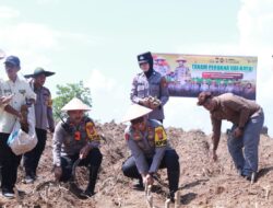 Kolaborasi untuk Swasembada Pangan: Polres Sidrap Mulai Tanam Ubi Kayu Selaraskan Asta Cita Presiden