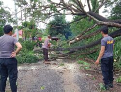 Aksi Sigap Polsek Panca Lautang di Tengah Cuaca Ekstrem, Jalan di Depan Mapolsek Kembali Lancar
