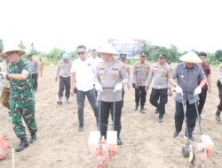 Kapolres, Dandim, Pj. Bupati, Ketua DPRD dan Ketua Pengadilan Sidrap Kompak Tanam Jagung serentak di Desa Mario, Wujudkan Ketahanan Pangan Kabupaten Sidrap