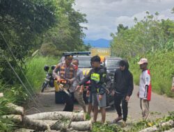 Sigap Hadapi Bencana, Kapolsek Pitu Riase Bersama Warga Tangani Pohon Tumbang