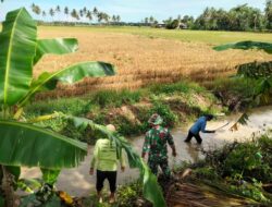 Dukung Peningkatan Produksi Pertanian, Babinsa Kerja Bakti Bersihkan Saluran Irigasi