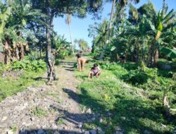 Sertu Firdaus Babinsa Ramil 1420-07/Baranti Bersama Warga Perbaikan Saluran Air dan Jalan Petani