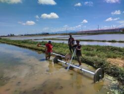 Babinsa Dampingi Petani Rappang Terapkan Sistem Tanam Benih Langsung (TABELA)