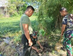 Personel Staf Kodim 1420/Sidrap Tanam Pohon untuk Hijaukan Lingkungan Kantor