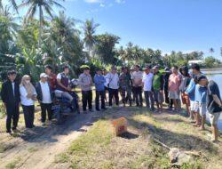 Babinsa Desa Kampale Bersama PPL Dan Petani Kerja Sama Berantas Hama Tikus