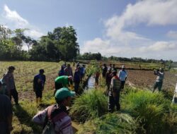 Koramil 1420-06/Panca Rijang Gelar Karya Bakti Bersama Warga, Bersihkan Saluran Air Demi Lancarnya Irigasi dan Cegah Banjir di Kulo