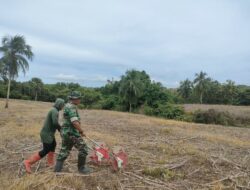 Babinsa Koramil 1420-06/Panca Rijang  Bantu Petani Tanam Jagung Bersama Pok Tani Dusun Puncak sebagai Wujud Kemanunggalan TNI dengan Rakyat