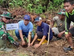 Penghijauan Di Wilayah Binaan, Danposramil Pitu Pitu Riase Pimpin Penanaman Pohon