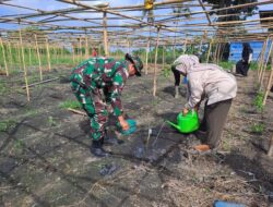 Danramil Maritengngae Pimpin Karya Bakti Penanaman Pohon di Desa Mojong