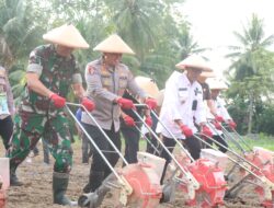 Polres dan Pemkab Sidrap Gelar Penanaman Jagung Serentak, Dukung Swasembada Pangan