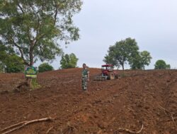 Babinsa Koramil 1420-05/Dua Pitue melaksanakan kegiatan pendampingan pengolahan hanpangan Kodim 1420/Sidrap