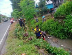 Cegah Banjir, Babinsa Kelurahan Pajalele Gelar Karya Bakti Bersihkan Saluran Air
