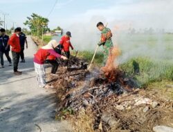 Kolaborasi Hijau: Babinsa, Staf Desa, dan Mahasiswa Unhas Bersatu dalam Aksi Jumat Bersih di Aka-Akae