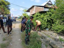 Semangat HUT RI ke-80, Babinsa Pajalele Bersama Warga & Pelajar SMAN 5 Sidrap Gelar Karya Bakti Bersihkan Saluran Air