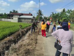 Plt Danramil 1420-04/Watang Pulu dan Warga Bersatu Bersihkan Saluran Air Sambut HUT RI Ke-80 di Sidrap