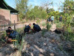 Kodim 1420/Sidrap Gelar Karya Bakti Penanaman Pohon di Asrama
