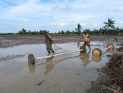 Babinsa Koramil 05/Dua Pitue Turun Tangan Dampingi dan Bantu Masyarakat Tanam Padi Sistem Tabela