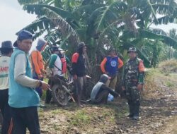 Sinergi TNI dan Petani: Babinsa Ramil 1420-05/Dua Pitue Pimpin Kerja Bakti Pembersihan Saluran Irigasi di Sidrap