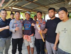 Satreskrim Polres Sidrap Ungkap Cepat Kasus Penganiayaan di Baranti, Pelaku Diamankan Kurang dari Empat Jam