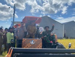 DANDIM 1420/SIDRAP MENGIKUTI KEGIATAN PANEN RAYA PROGRAM IP 300 DI KEL. MAJJELLING WATTANG