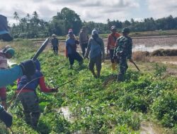 Sinergi TNI dan Petani, Babinsa Koramil 1420-06/Pancarijang Gelar Karya Bakti Bersihkan Irigasi di Desa Abokongan