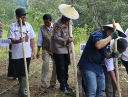 Target Produksi jagung di 2026, Saat ini Polda Sulsel Sudah Menanam Jagung di Lahan 812 Hektar*