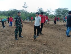 ​​Sinergi Hijau, Babinsa Desa Lombo dan Kokam Sidrap Tanam 50 Bibit Alpukat