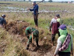 Dukung Ketahanan Pangan, Babinsa Koramil 1420-02/Tellu Limpoe Bersama Petani Bersihkan Irigasi di Baula
