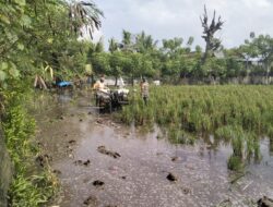 Babinsa Kelurahan Sidenreng Pantau LTT dan Pendampingan Pengolahan Lahan di Poktan Elo Puang
