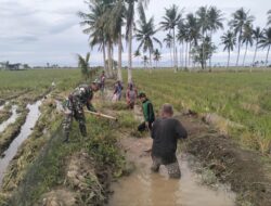 BABINSA KELURAHAN SIDENRENG GELAR KARYA BAKTI BERSIHKAN SALURAN IRIGASI, DUKUNG PERCEPATAN TANAM MUSIM 2 MEI-AGUSTUS 2026