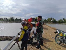 Babinsa Desa Kanie Dampingi Program Luas Tambah Tanam di Lahan Petani Ahmad Yani