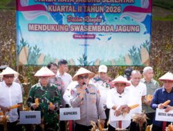 Panen Raya Jagung Serentak Kuartal II 2026, Polres – Pemkab Sidrap Siap Perkuat Swasembada dan Tingkatkan Kesejahteraan Petani