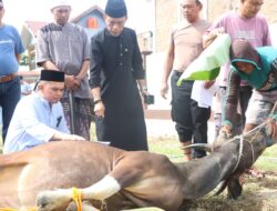 Siapkan 11 Ekor Sapi Qurban, Fantry: Wujud Peduli Personel Polres Sidrap