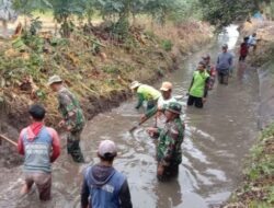 Koramil 01/Panca Lautang Pimpin Karya Bakti Bersihkan Irigasi Utama Persawahan di Bilokka